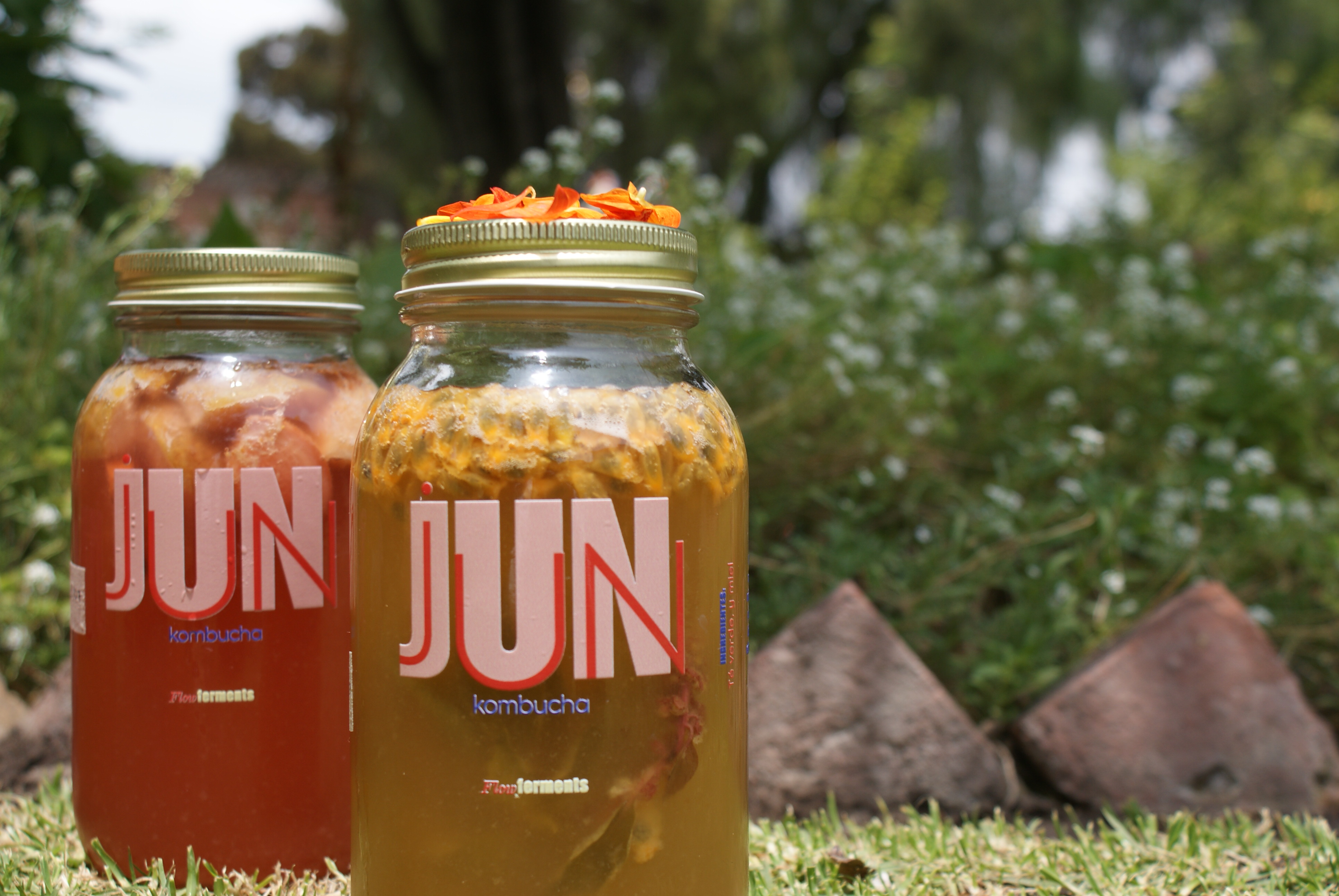 A close-up, photographic shot of a single Flow Ferments kombucha bottle in a playful tropical flavor, its glass surface beaded with condensation. The drink is a vivid gradient from deep coral at the bottom to pale peach near the top, with tiny bubbles rising inside. It stands on a sand-colored stone slab, surrounded by scattered passion fruit halves, pineapple leaves, and a few tea leaves. Warm golden hour light enters from the side, casting long, soft shadows and creating a sun-kissed glow on the liquid. The background is intentionally blurred into pastel tones, giving a beachy, carefree mood. Captured from a slightly low angle, the kombucha feels refreshing, adventurous, and joyfully handcrafted.